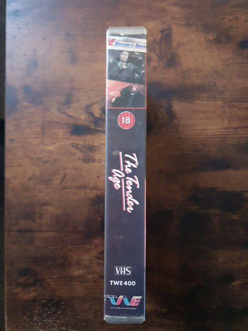 Big Box Ex-rental VHS: John Savage in The Tender Age