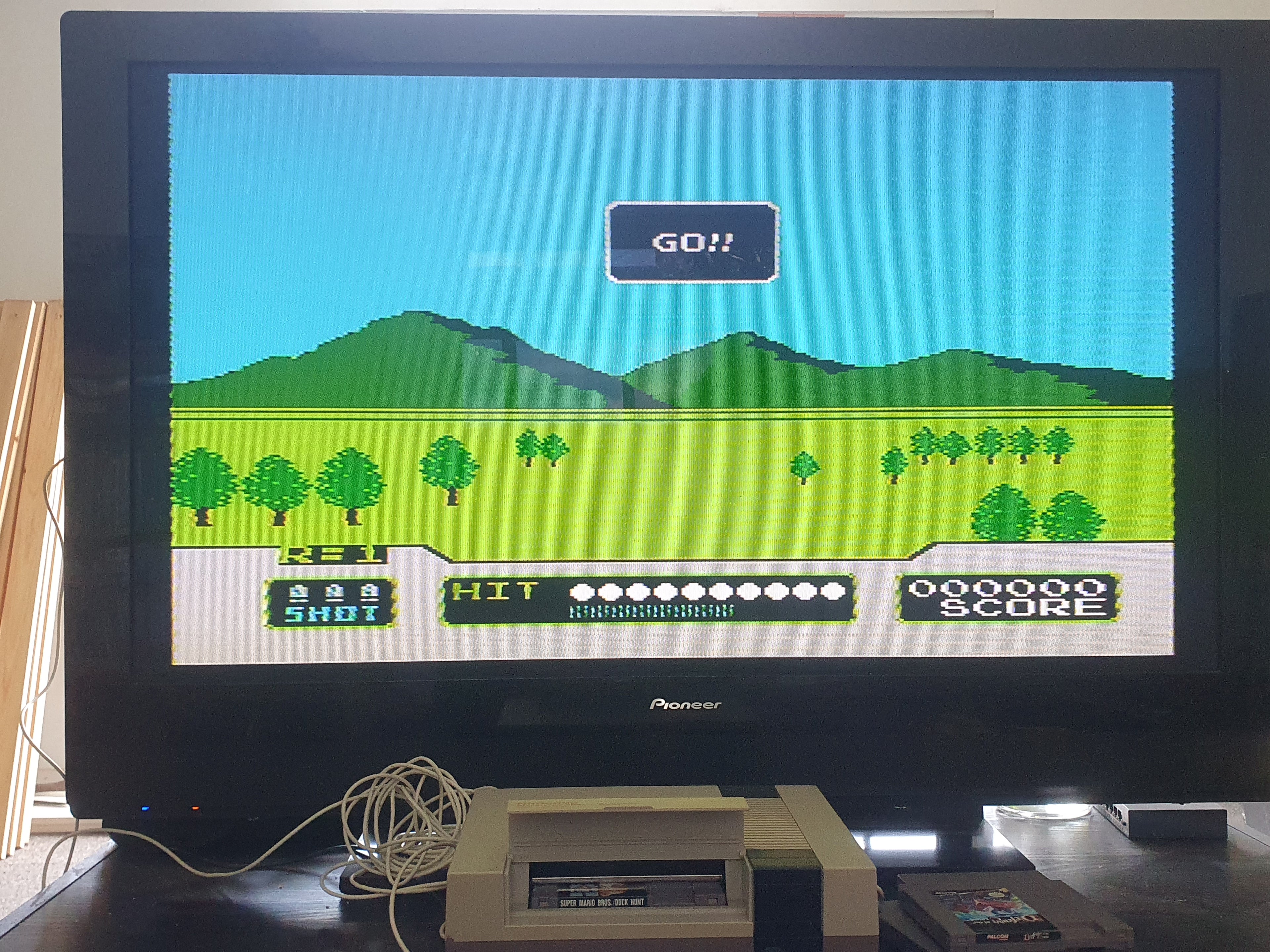 Nintendo Entertainment System (NES)