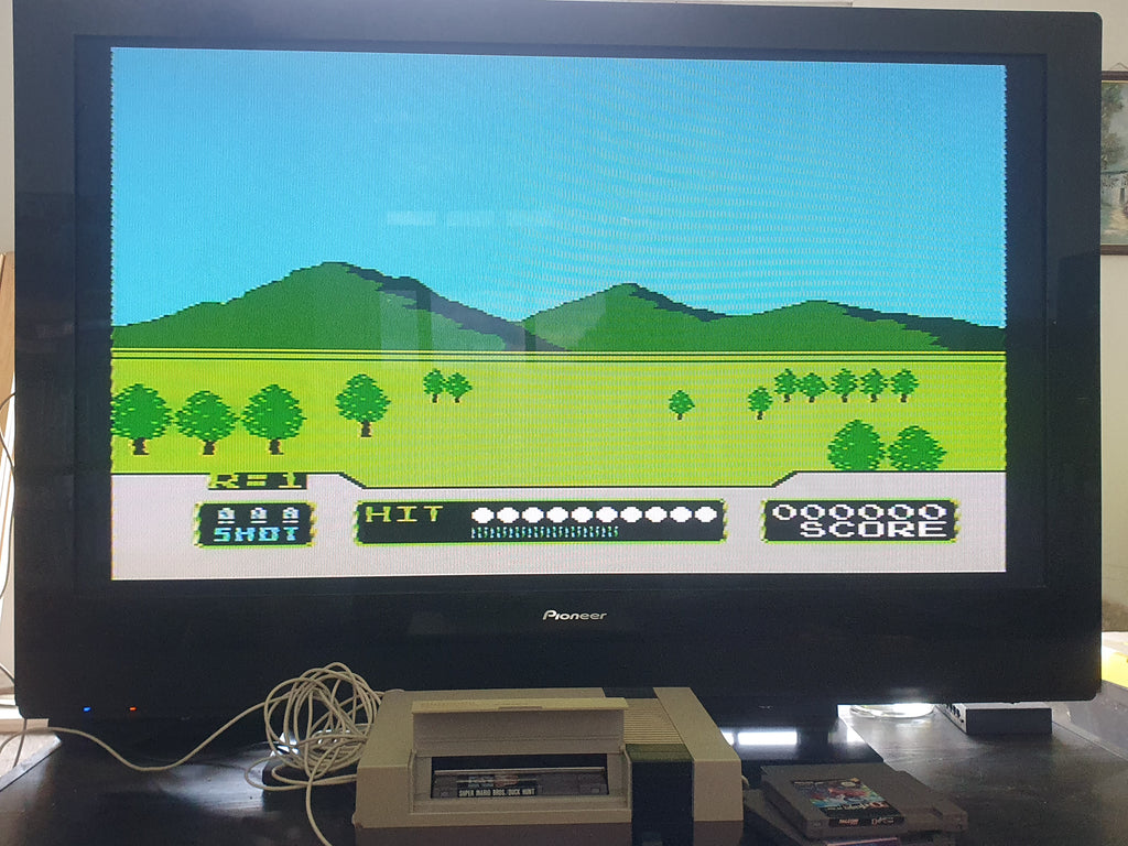Nintendo Entertainment System (NES)