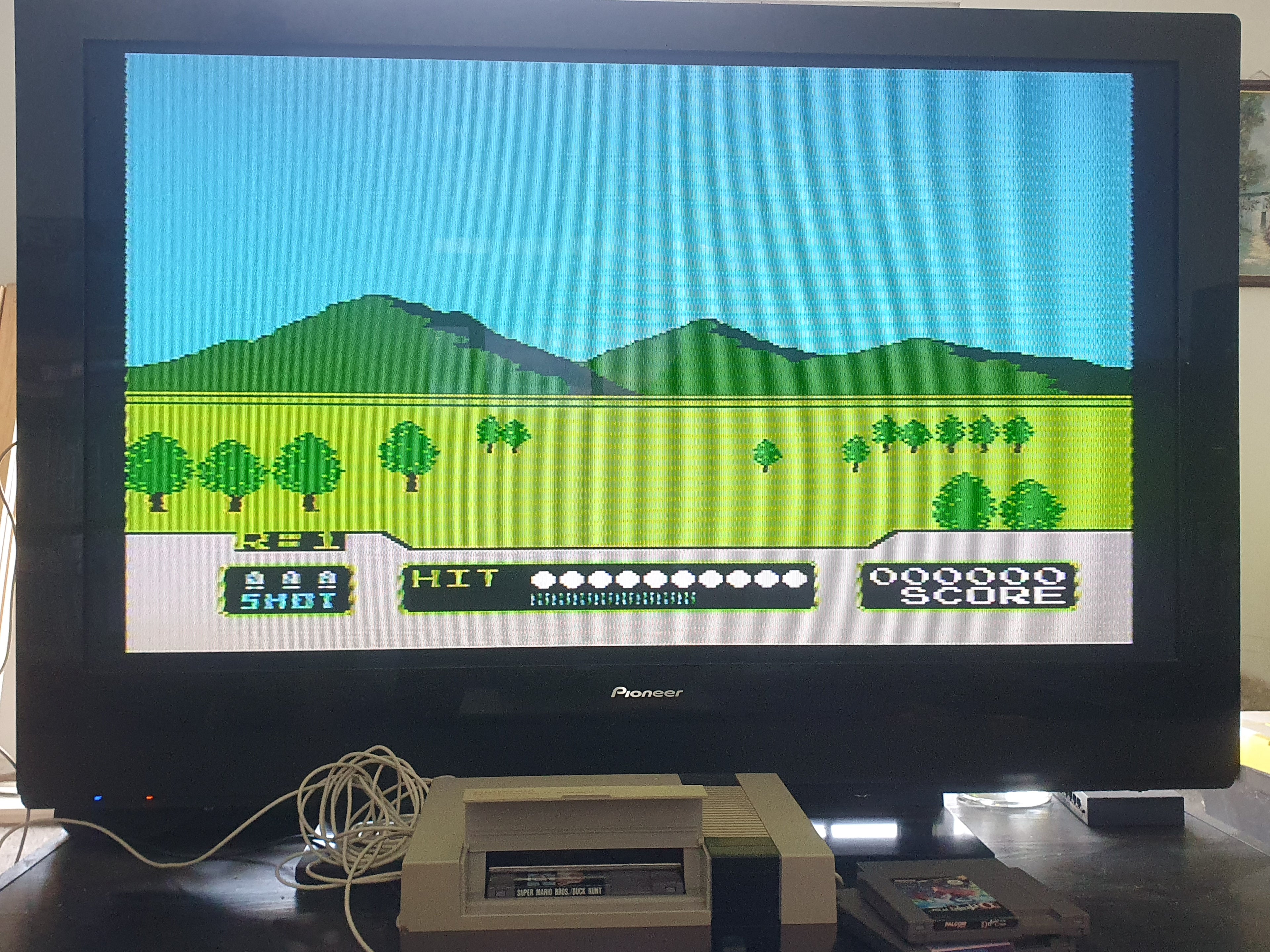 Nintendo Entertainment System (NES)